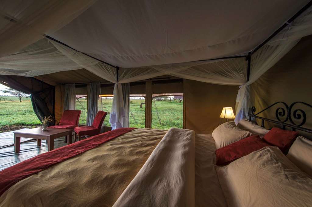 Robanda Karibu Camps And Lodges Sametu Camp Serengeti חדר תמונה